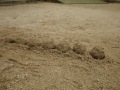 R0009890