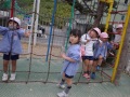 R0011246