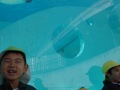 R0011270