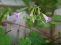 R0014776