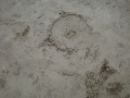 R0013607