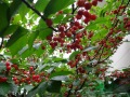 R0014658