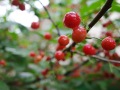 R0014663