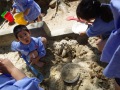 R0014964