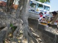 R0015212