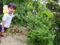 R0015282