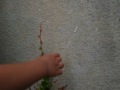R0015828