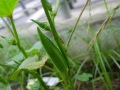 R0016098