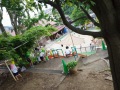 R0016181