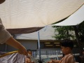 R0016219