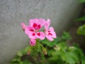 R0016357