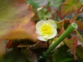 R0016358