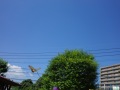 R0016930