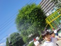 R0016932