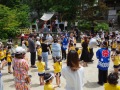 R0017204