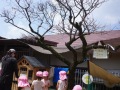 R0017252