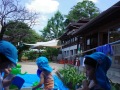 R0017266