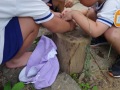 R0017298