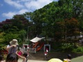 R0017302