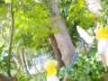 R0017655
