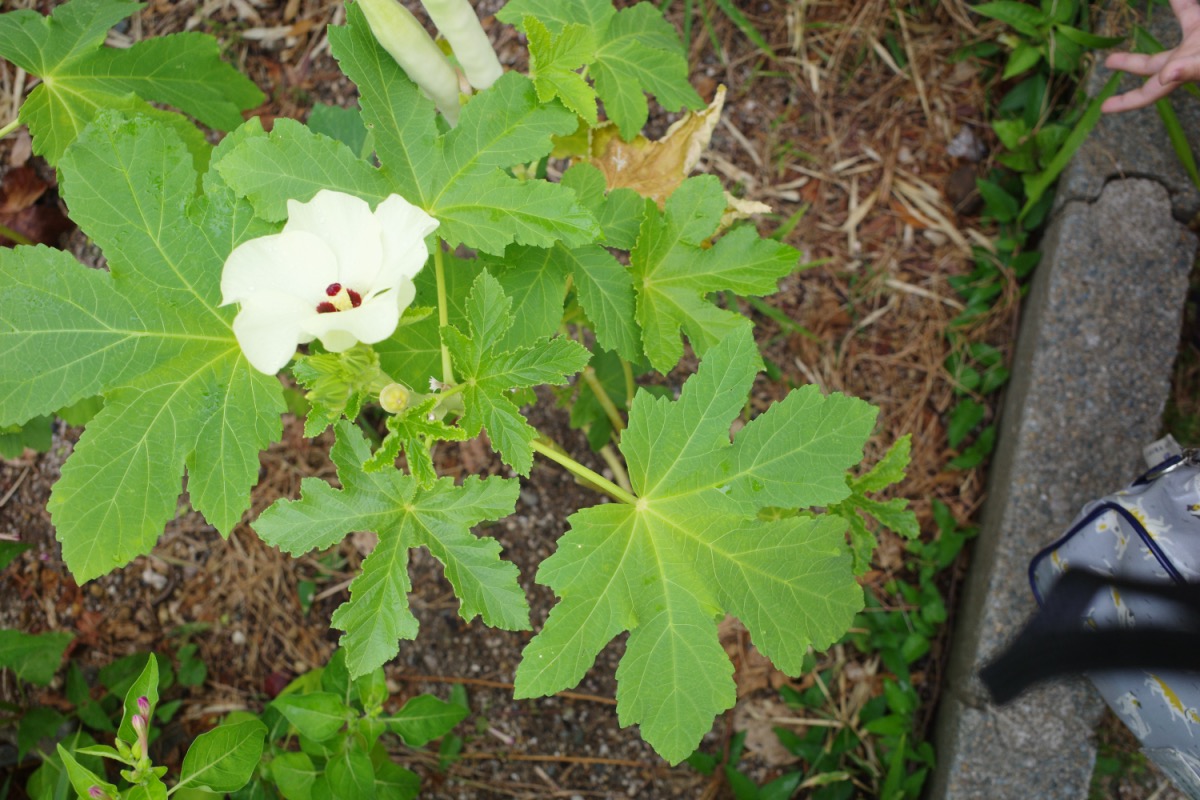 R0017874