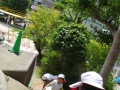 R0017993
