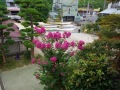 R0018070