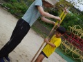 0201123d97def55f482e5dbd3226f895