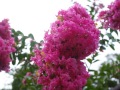 56e4fa82a6335db1bb89ad214303283b