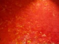 R0018481