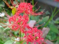 R0018485