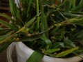R0018591