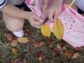 R0003264